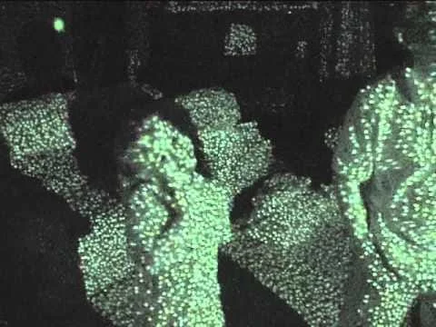 3. Infrared — ภาพประกอบ 2